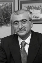 Bingür Sönmez, Prof. Dr.
