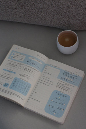 Well Planner Çekim Yasası Günlüğü