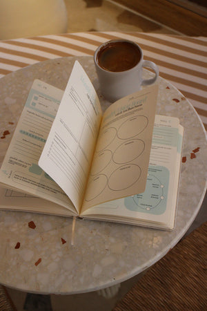 Well Planner Çekim Yasası Günlüğü
