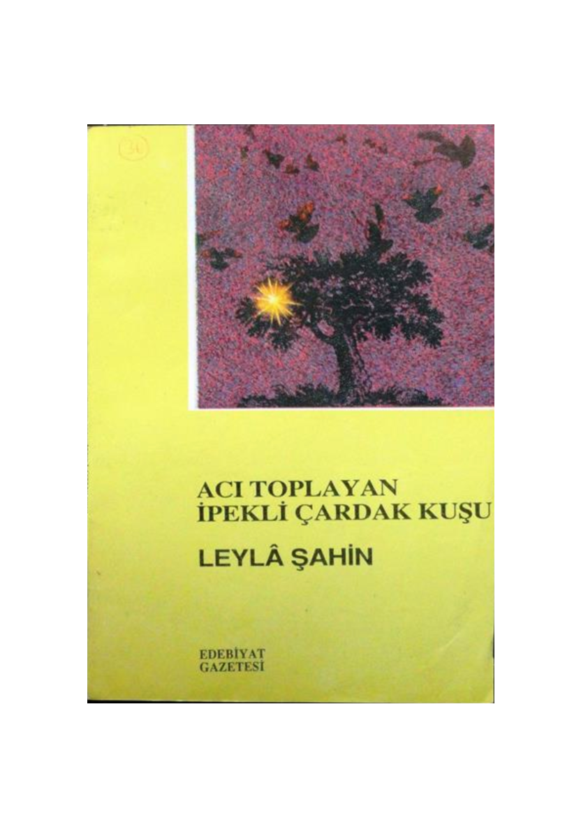 Acı Toplayan İpekli Çardak Kuşu