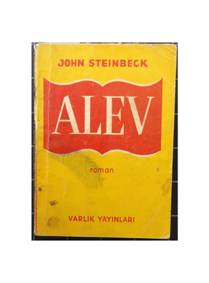 Alev