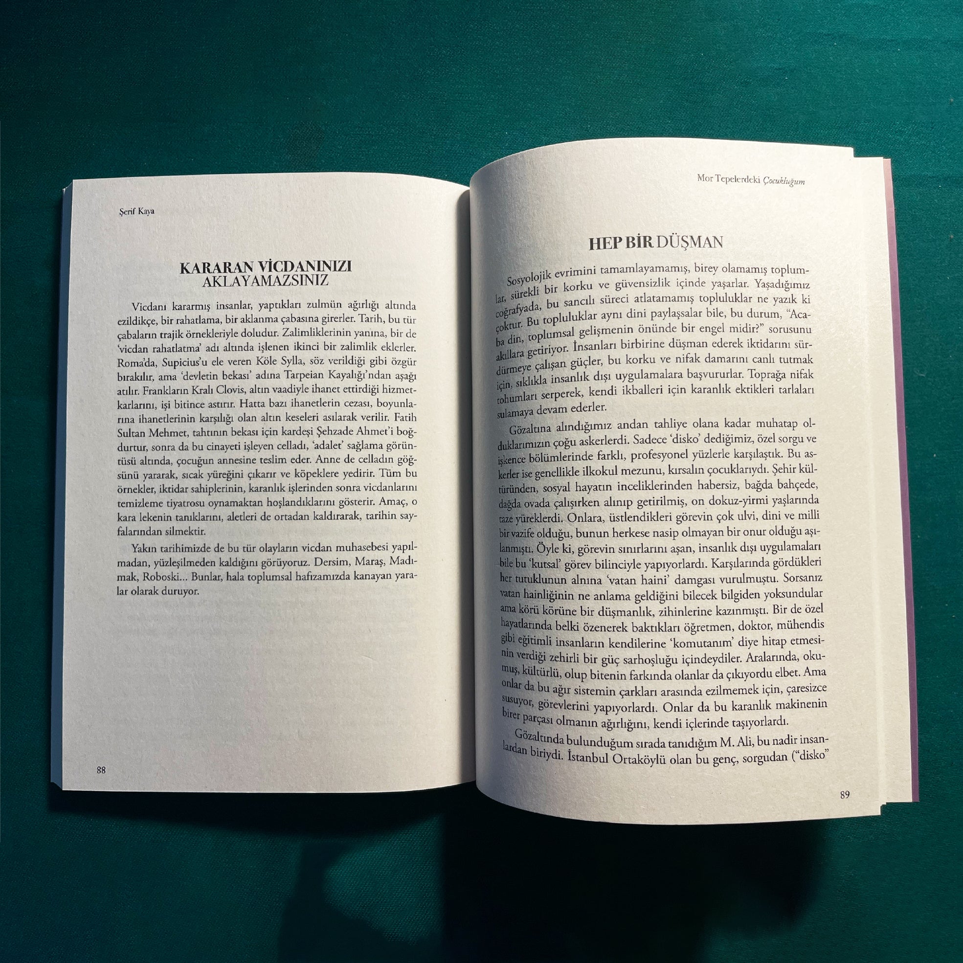 Mor Tepelerdeki Çocukluğum