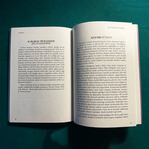 Mor Tepelerdeki Çocukluğum