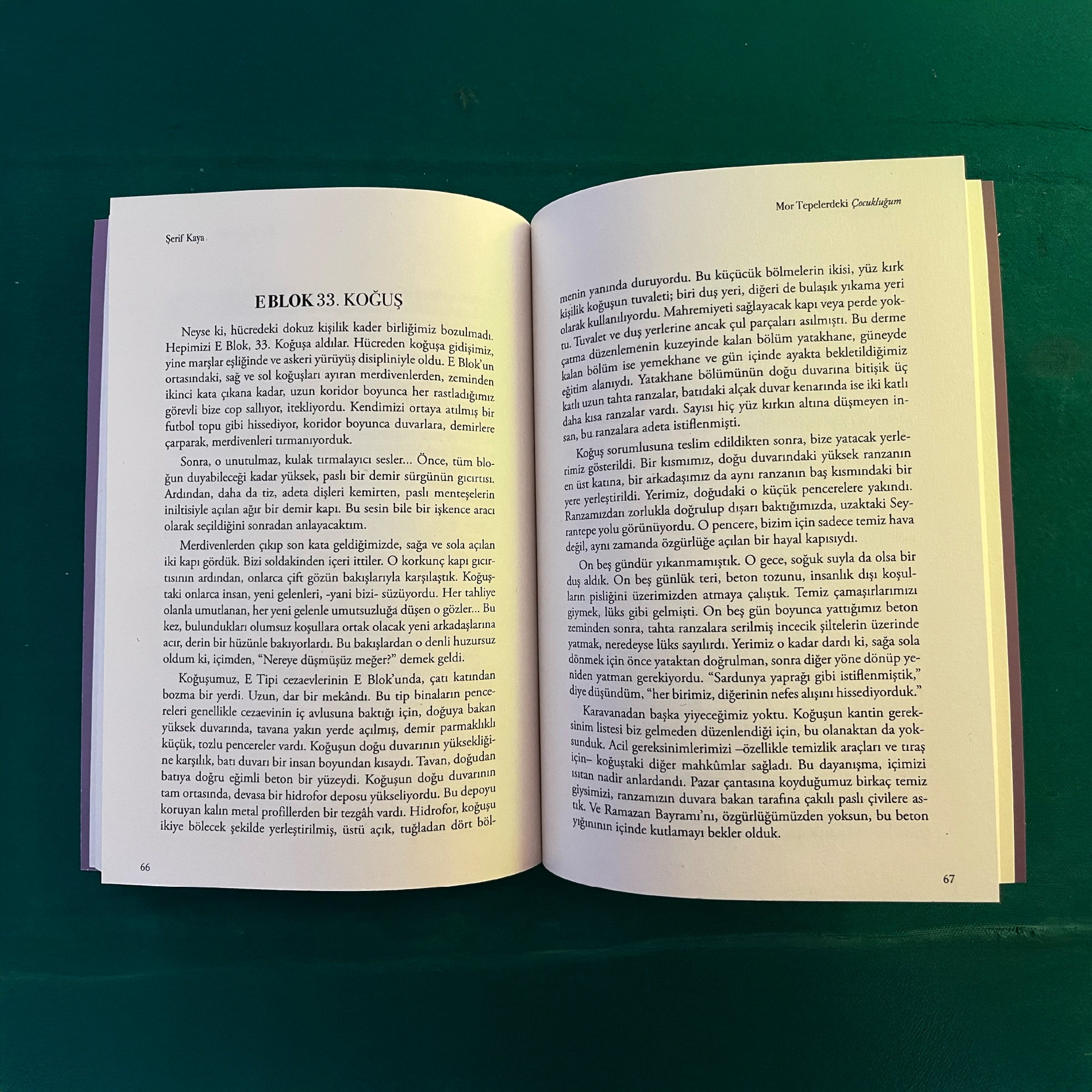 Mor Tepelerdeki Çocukluğum