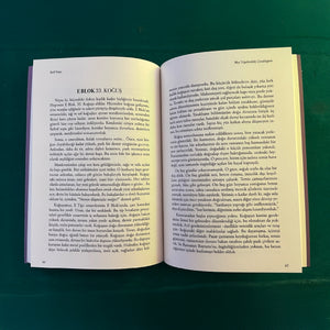 Mor Tepelerdeki Çocukluğum