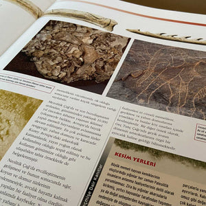 Arkeoloji Sırları 1