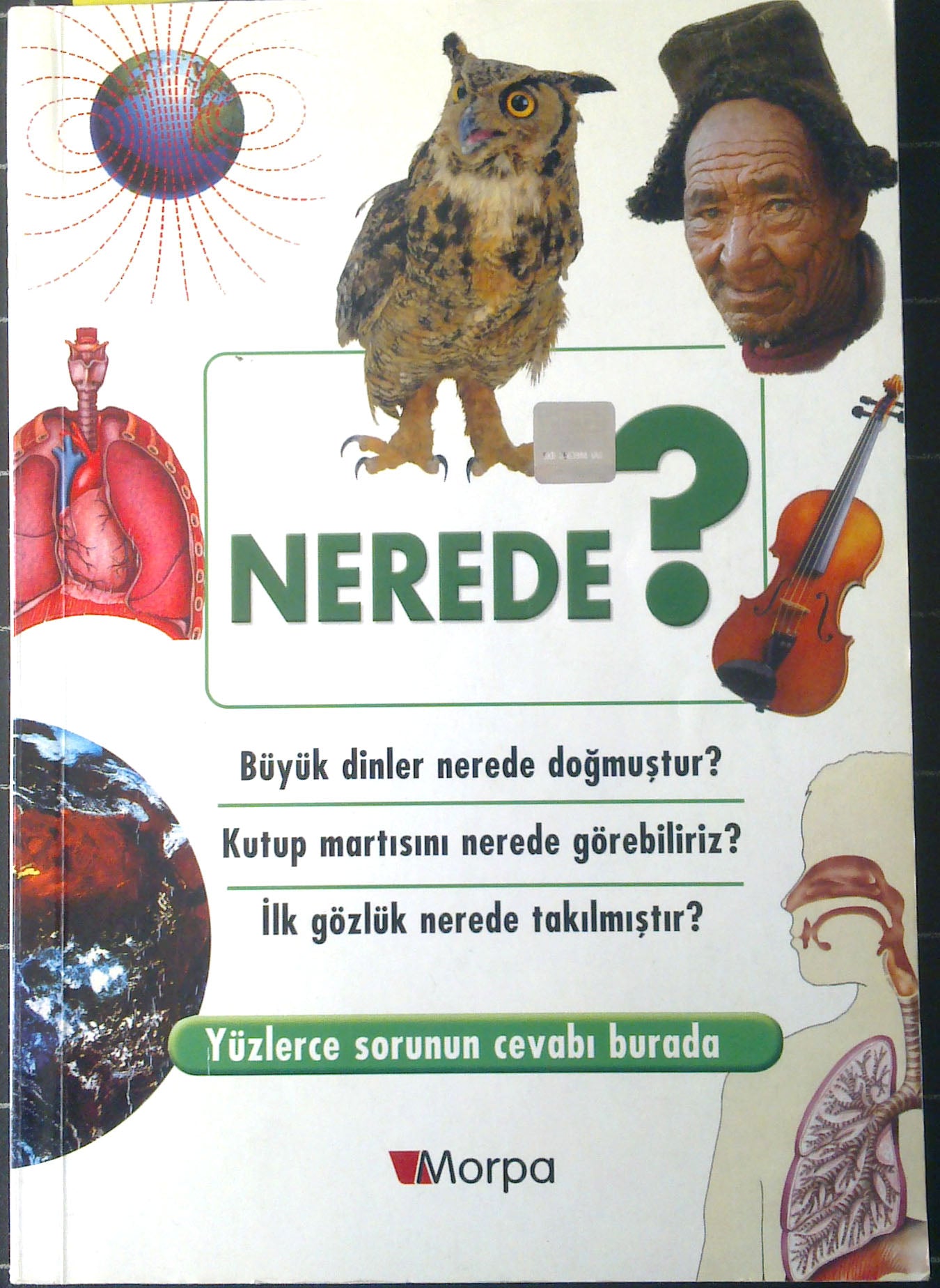 How, Me Tell-Sihirli Sorular Dizisi: Nerede?