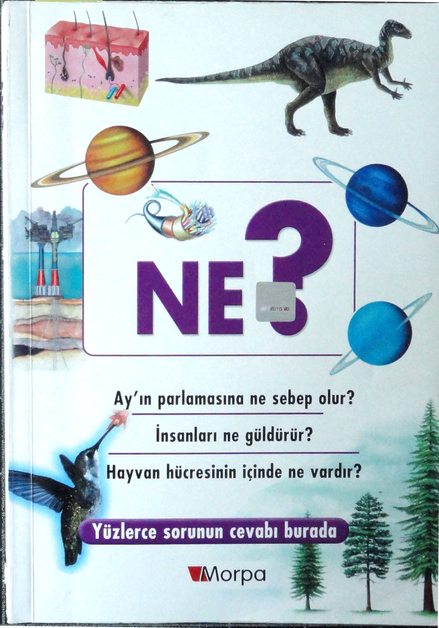 How, Me Tell-Sihirli Sorular Dizisi: Ne?