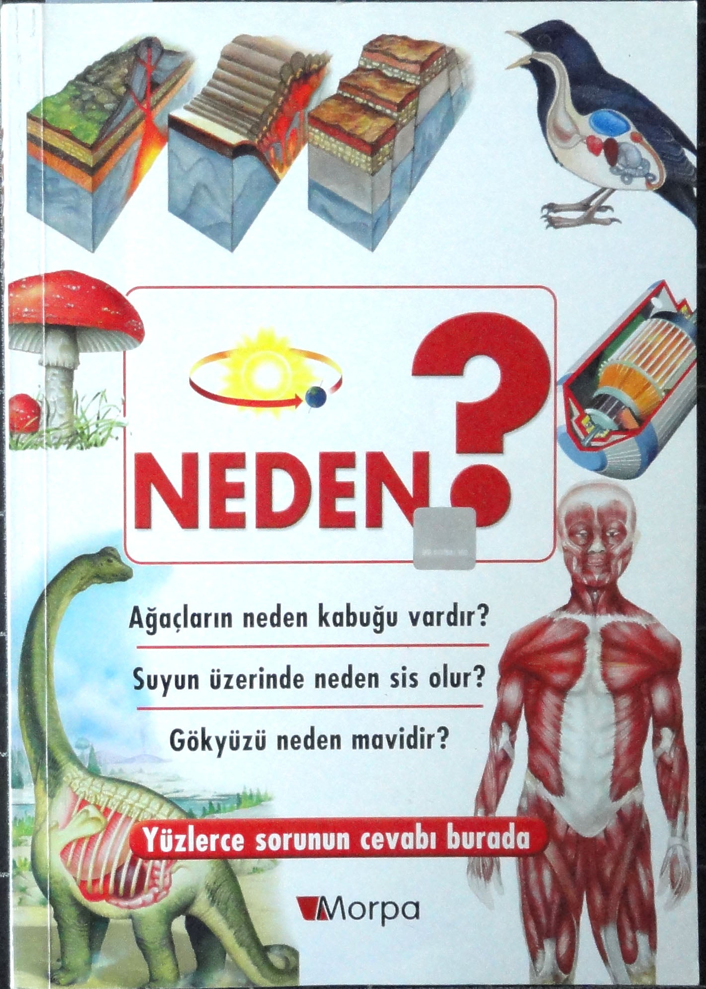 How, Me Tell-Sihirli Sorular Dizisi: Neden?