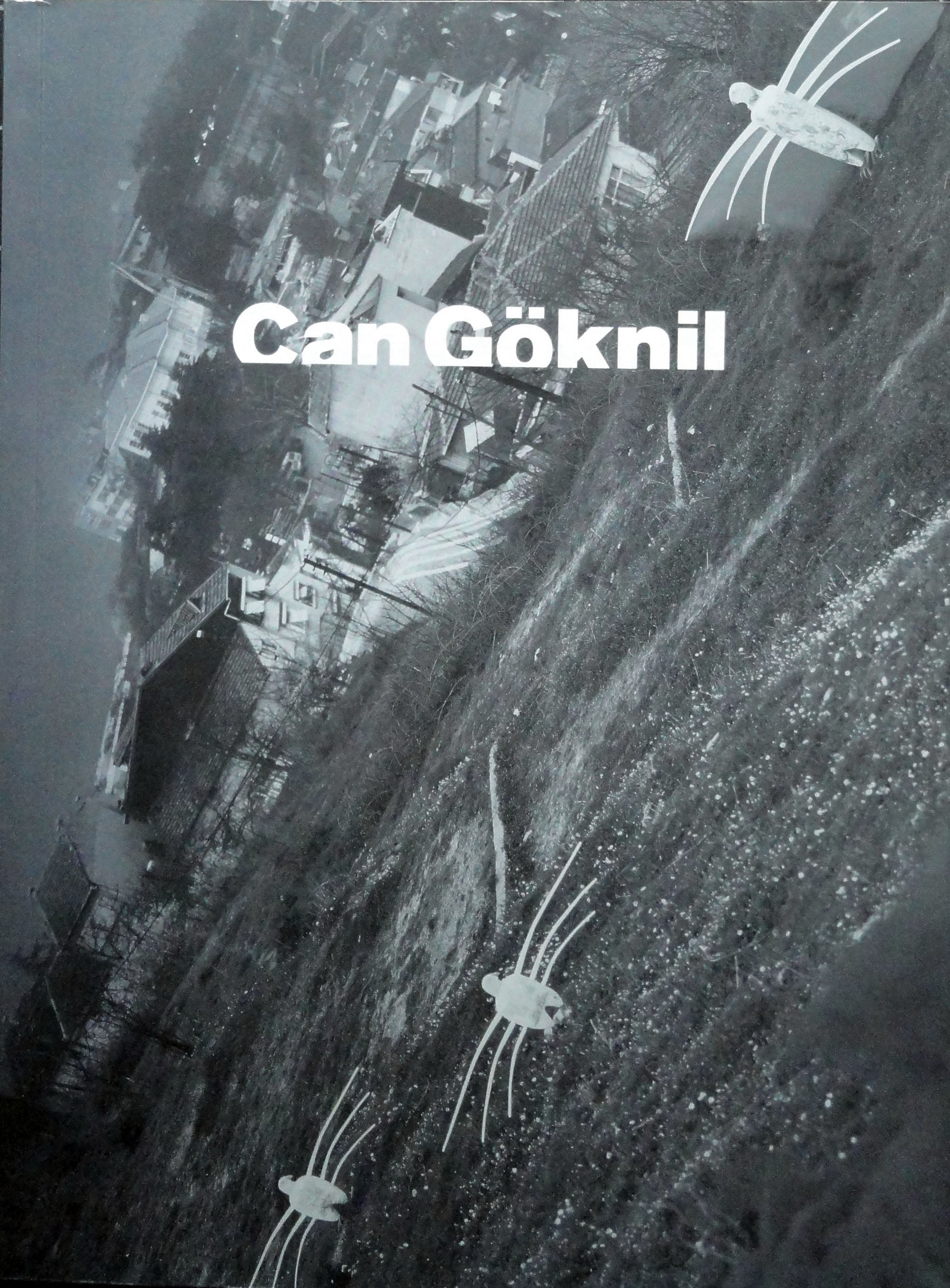 Can Göknil