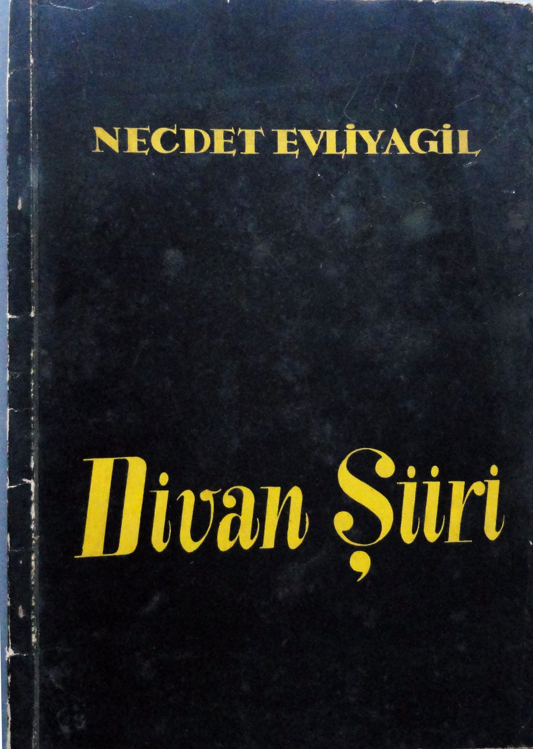 Edebiyatımızda Divan Şiiri 