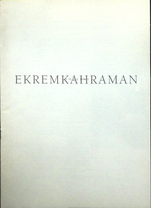 Ekrem Kahraman-Benim Resmim Sanata Bakış Açım Minör Bir Yalınlık Taşır