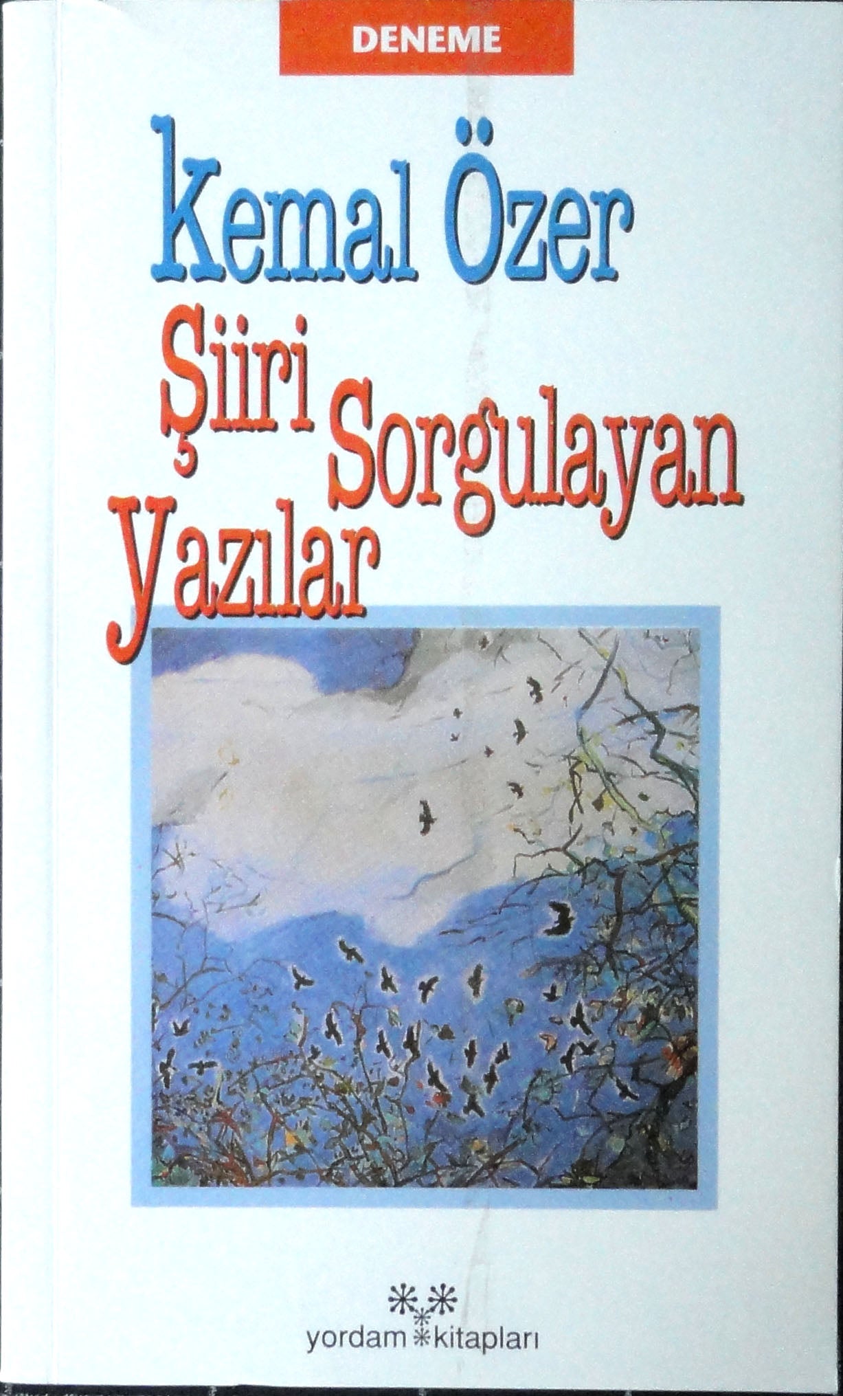 Şiiri Sorgulayan Yazılar