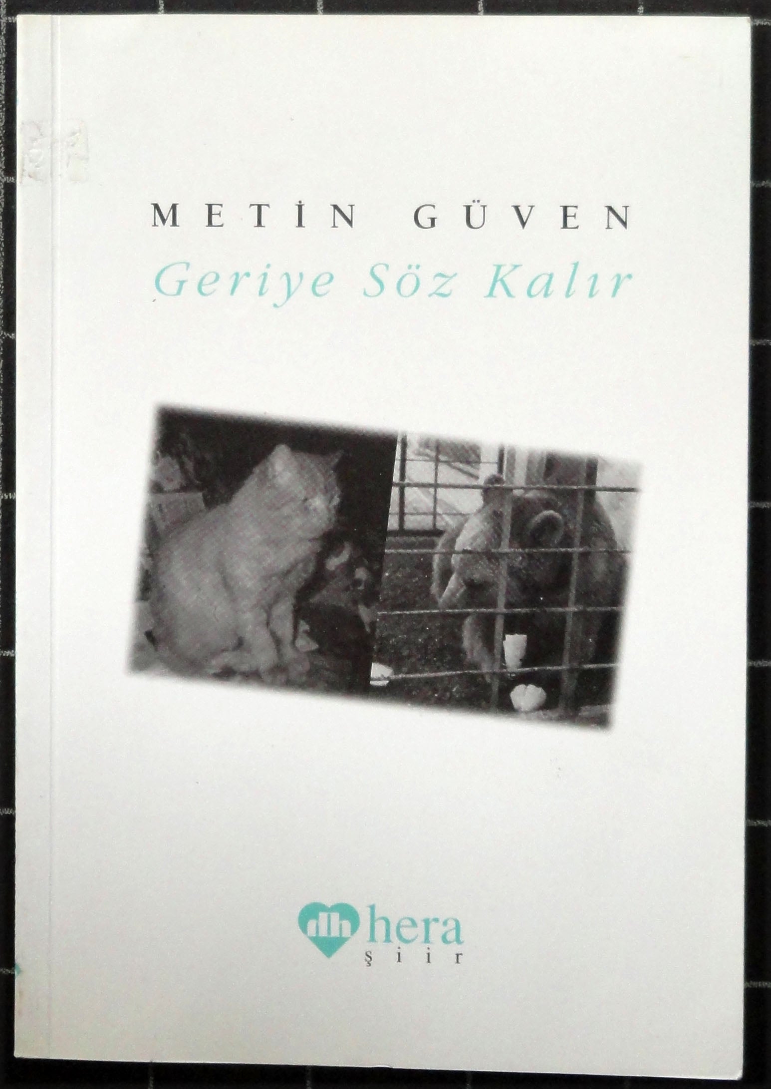 Geriye Söz Kalır