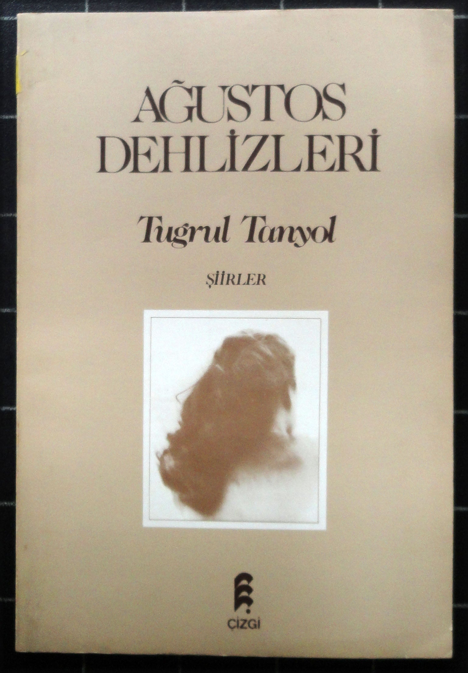 Ağustos Dehlizleri Şiirler