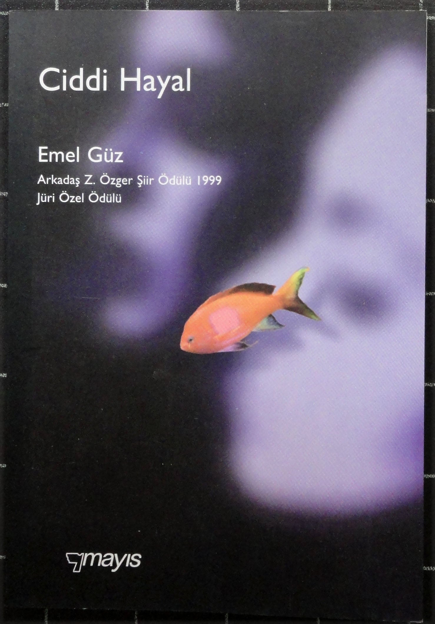 Ciddi Hayal<br>Arkadaş Z. Özger Şiir Ödülü 1999 Jüri Özel Ödülü