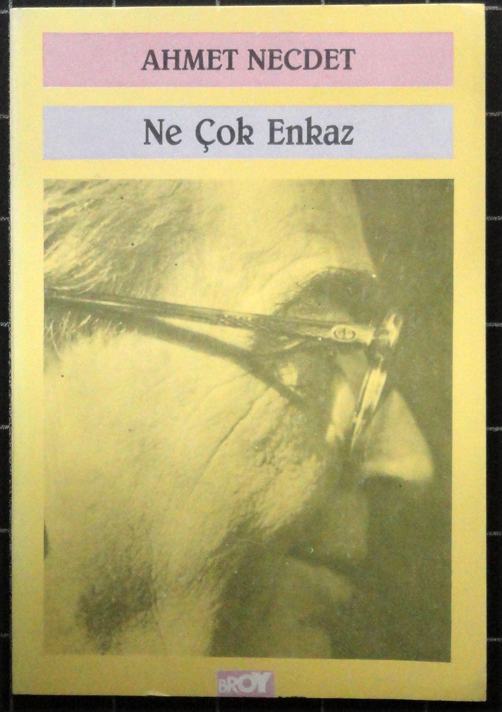 Ne Çok Enkaz