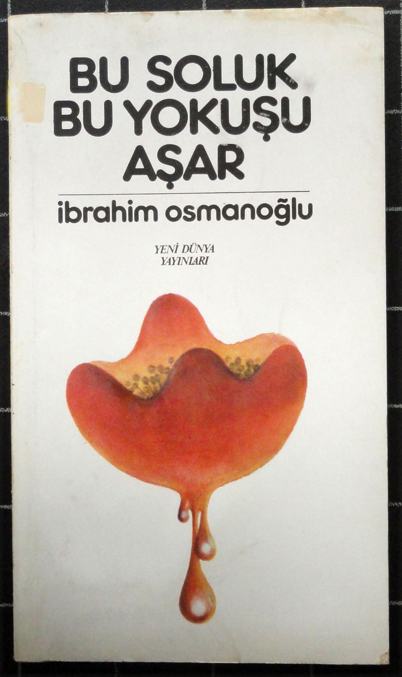 Bu Soluk Bu Yokuşu Aşar