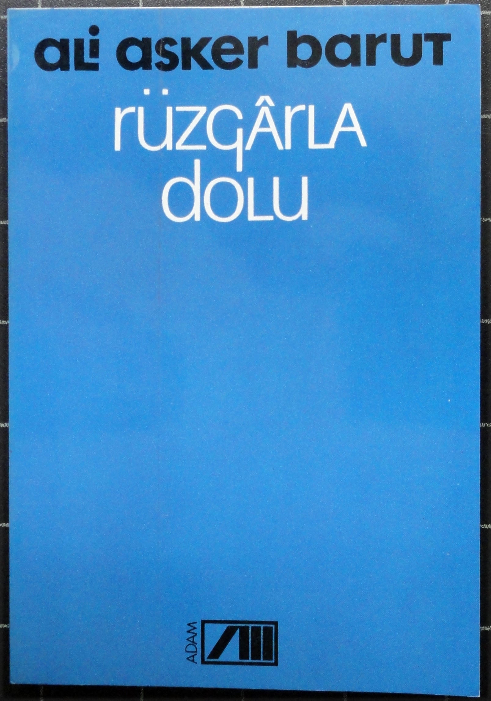 Rüzgarla Dolu