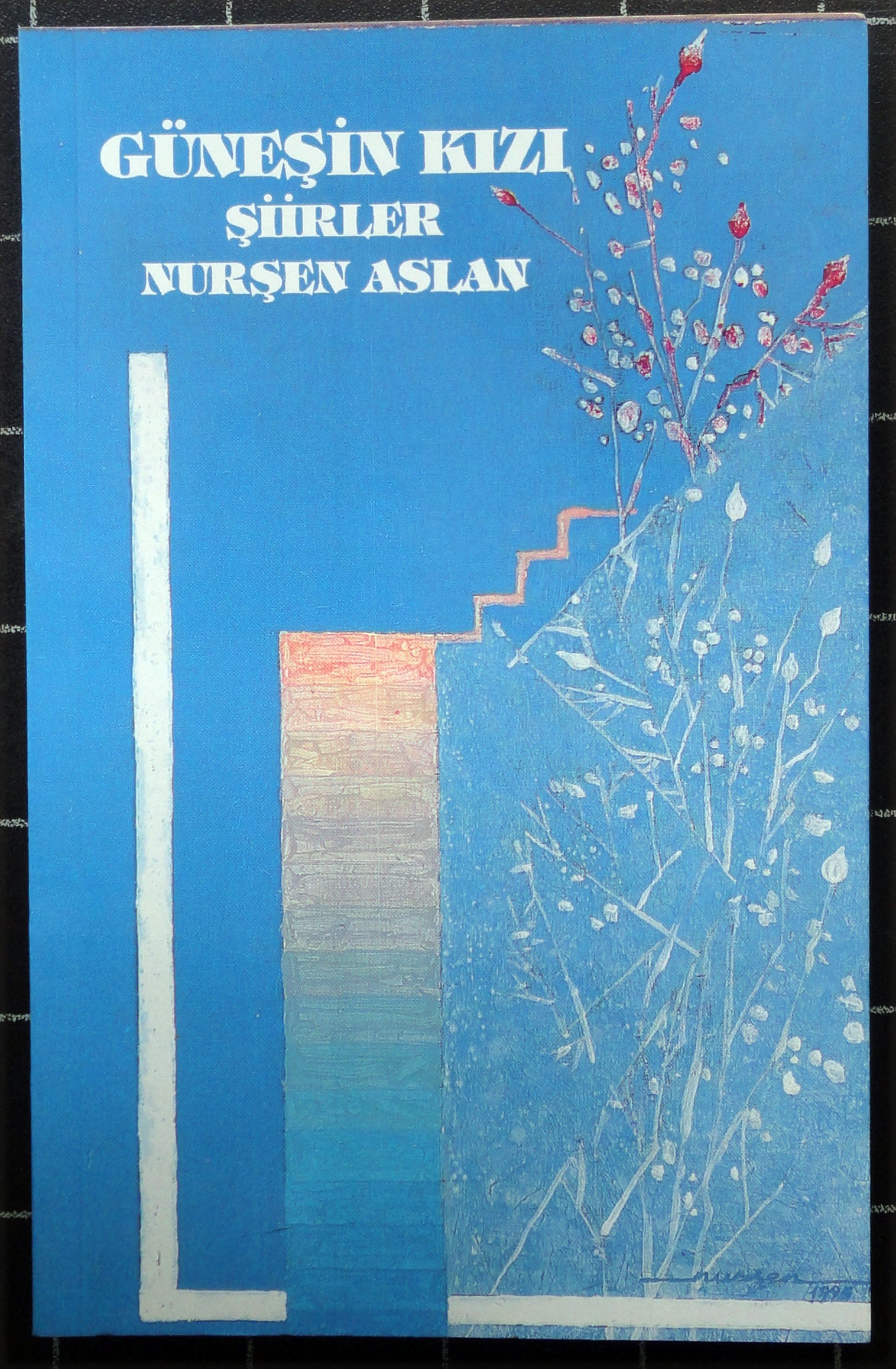 Güneşin Kızı Şiirler