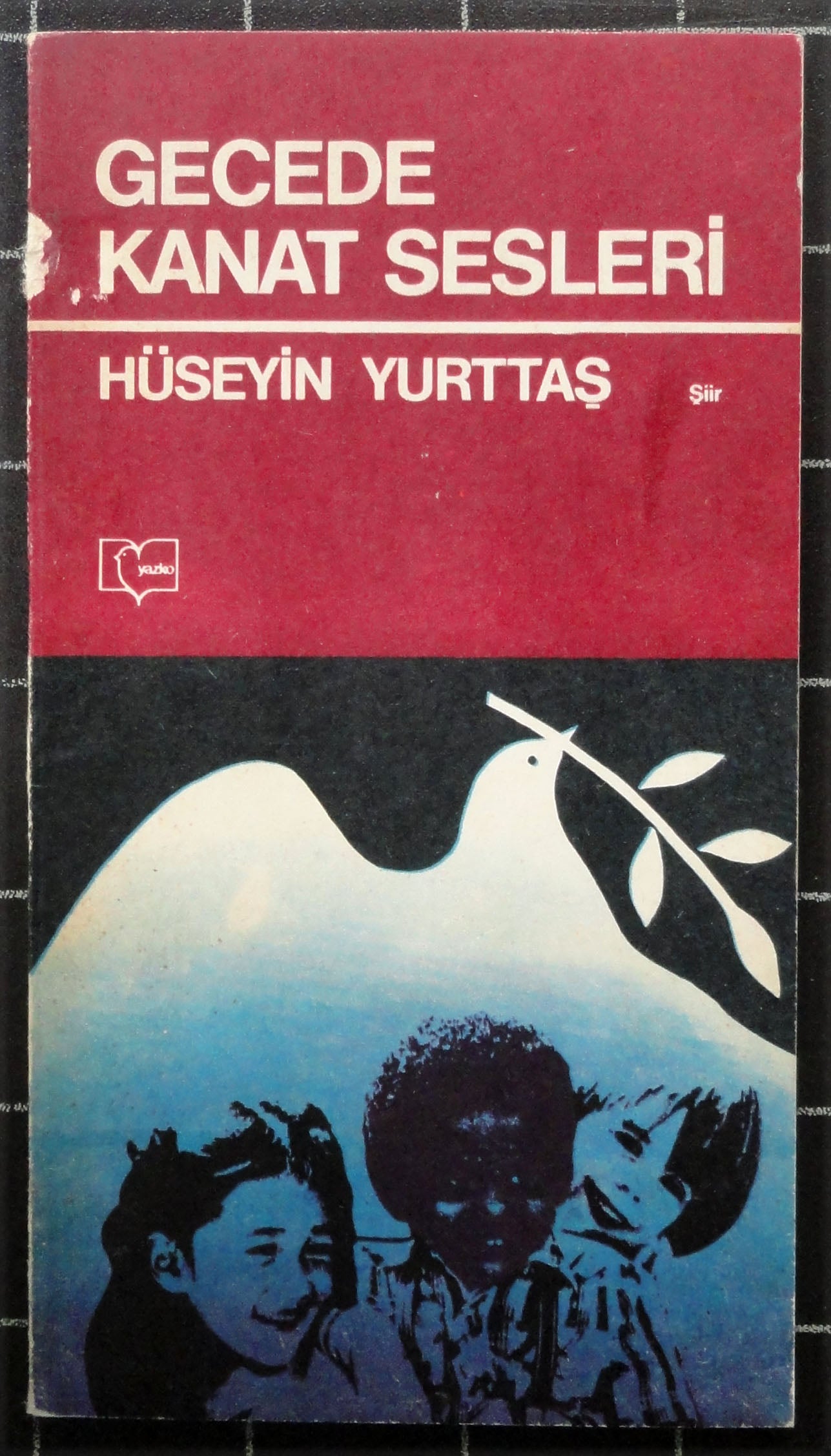 Gecede Kanat Sesleri