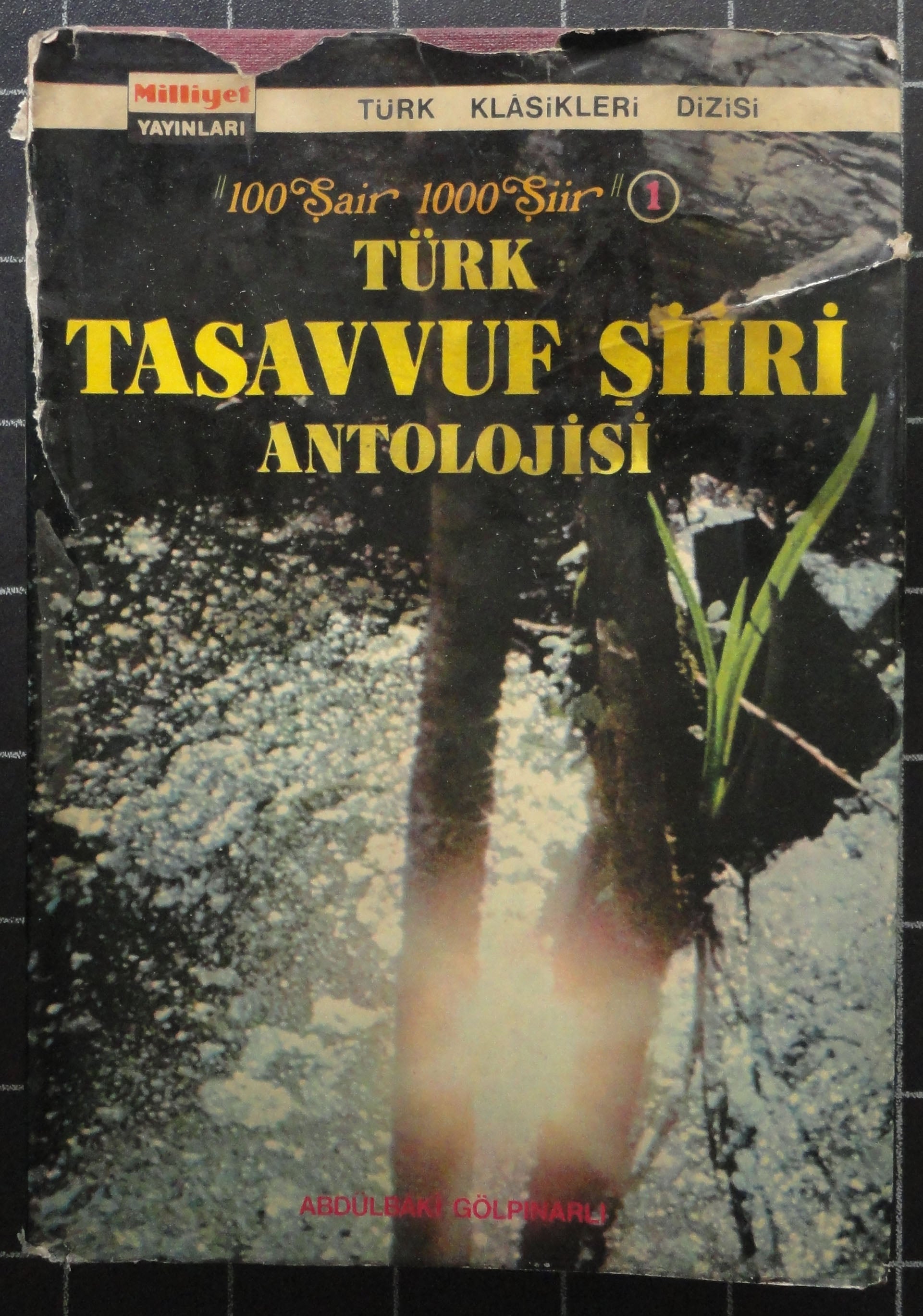 Türk Tasavvuf Şiiri Antolojisi<br>100 Şair 1000 Şiir 1