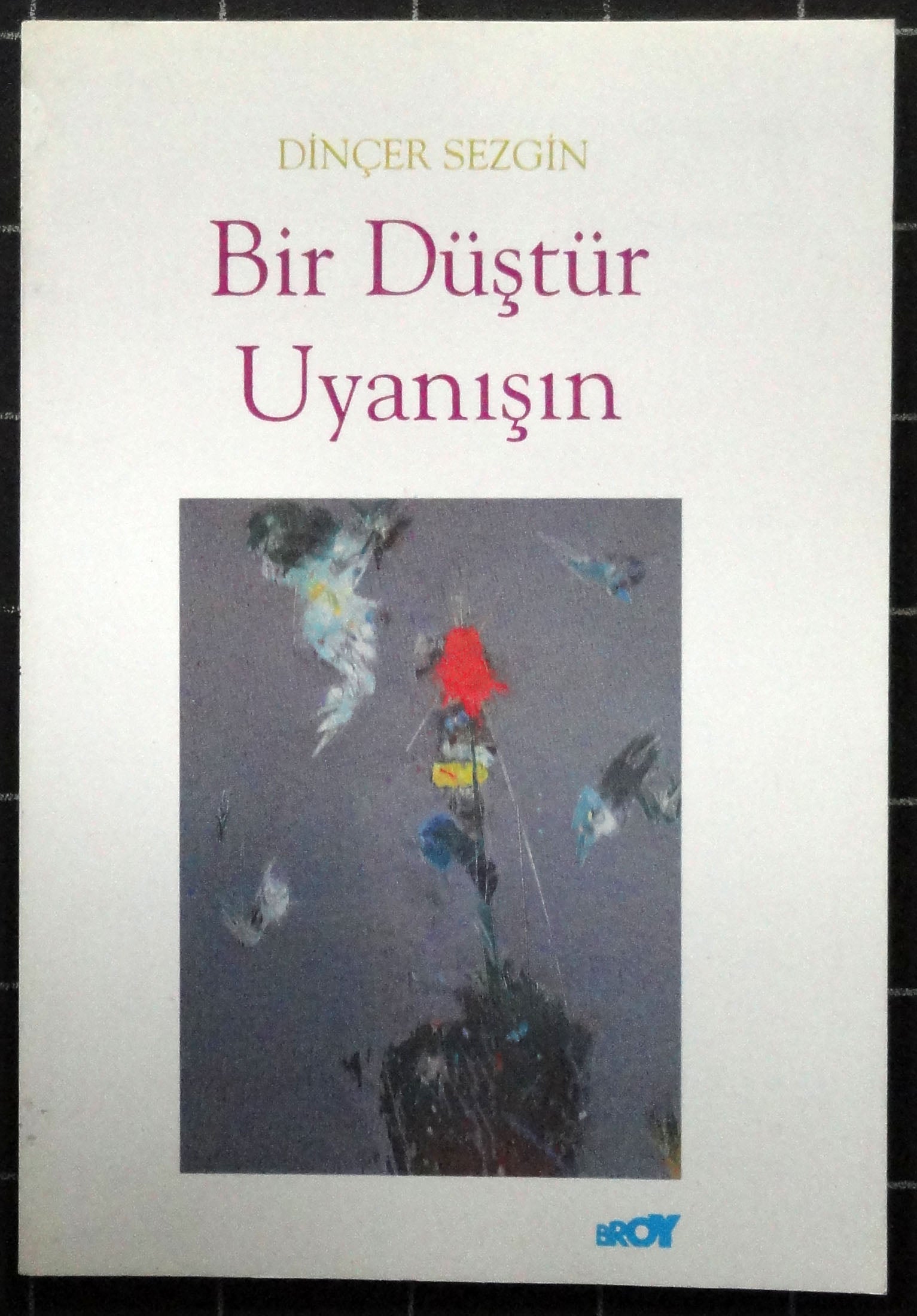 Bir Düştür Uyanışın