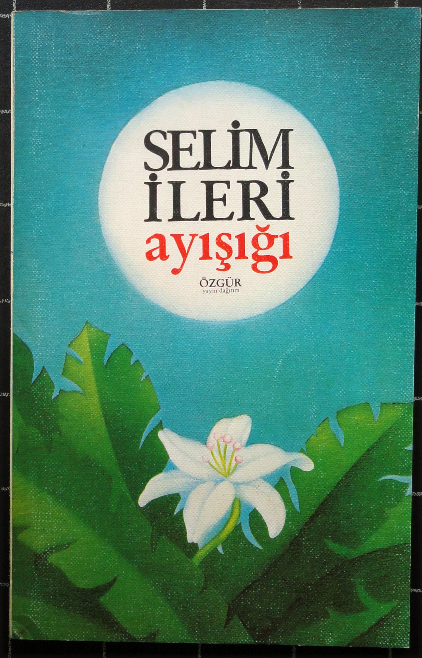 Ayışığı