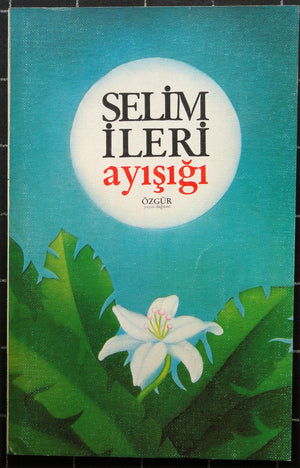 Ayışığı