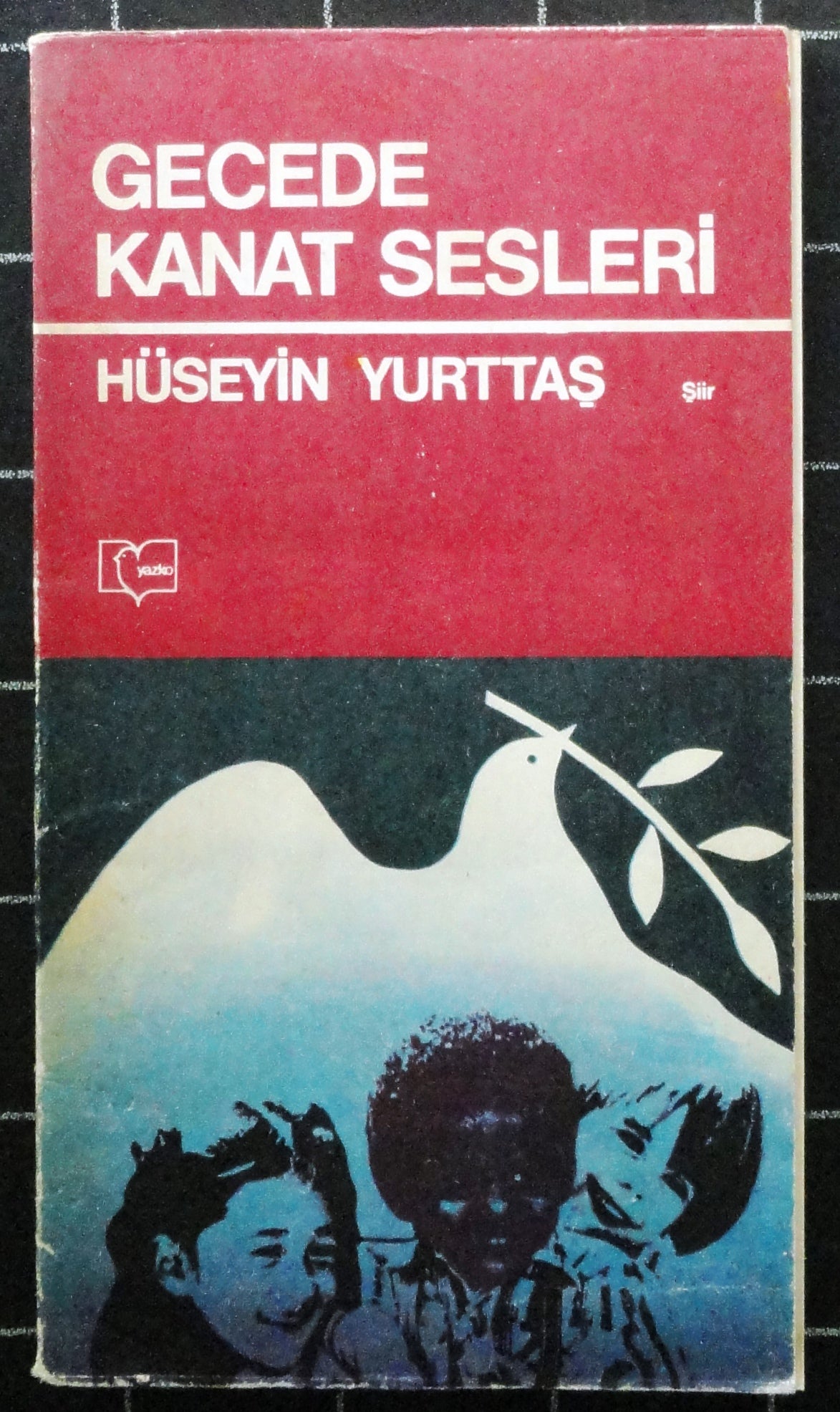 Gecede Kanat Sesleri