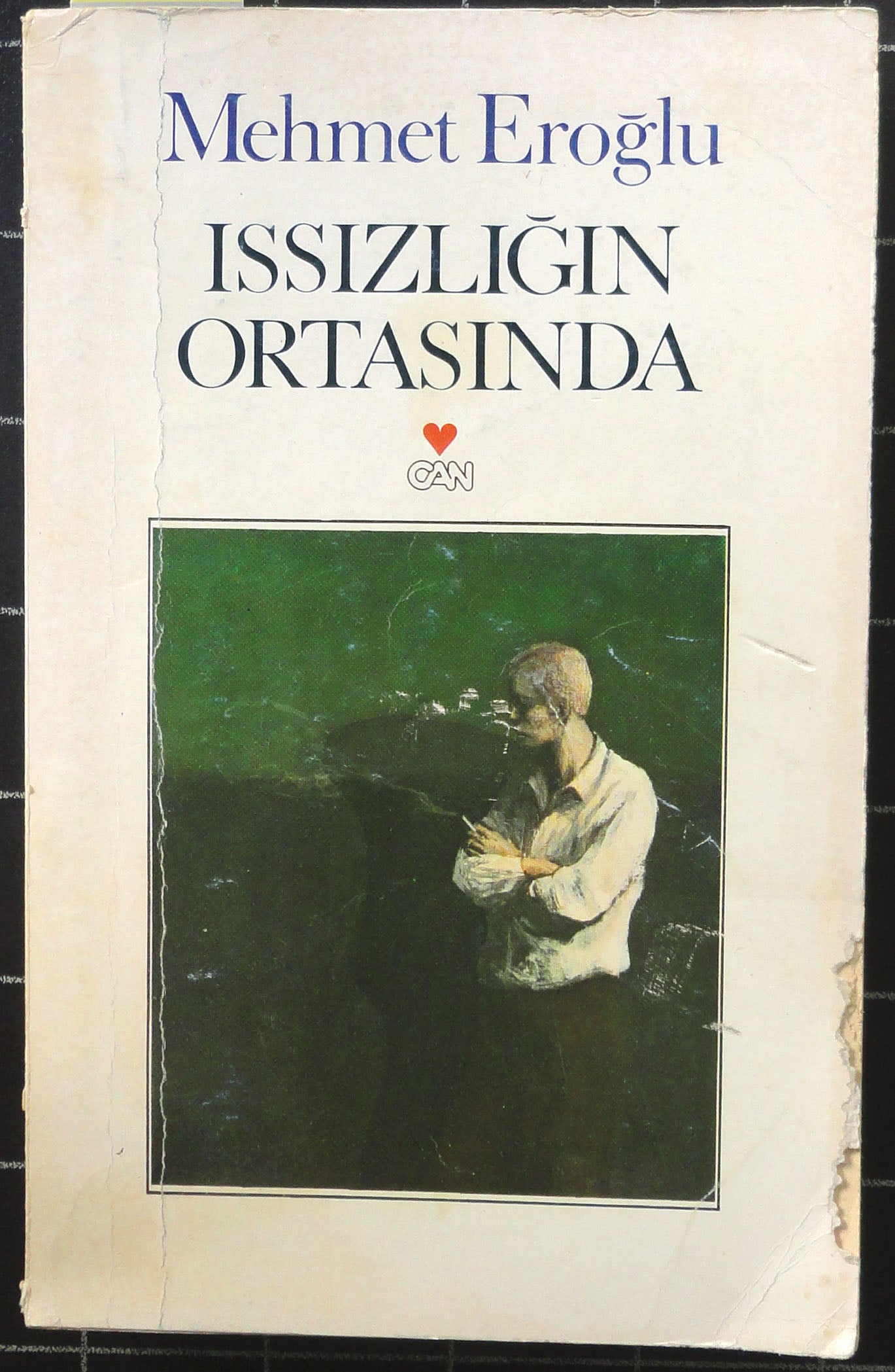 Issızlığın Ortasında