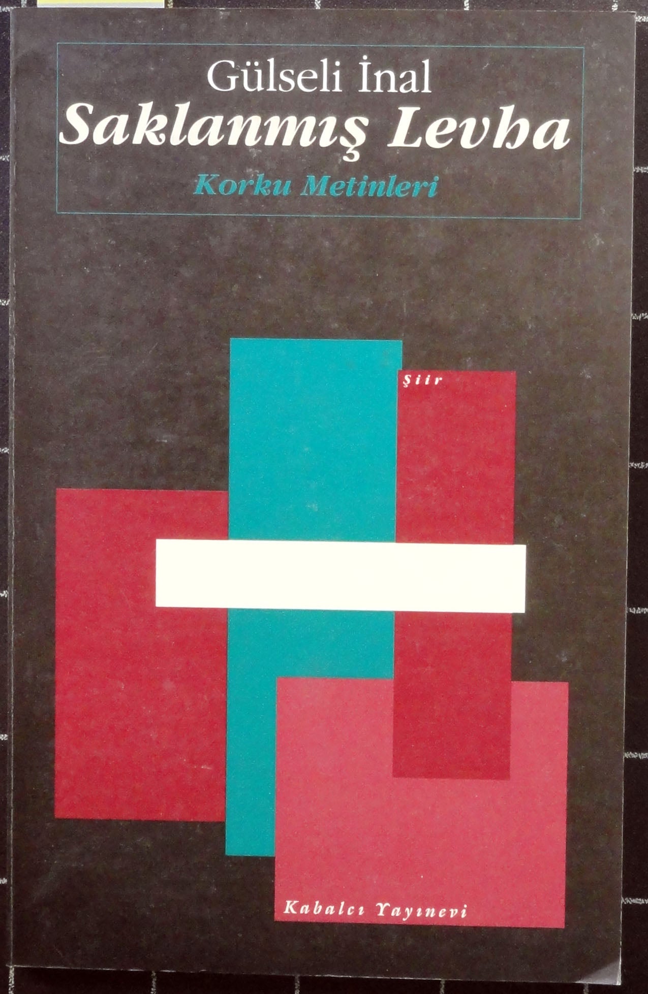 Saklanmış Levha<br>Korku Metinleri<br>Şiir