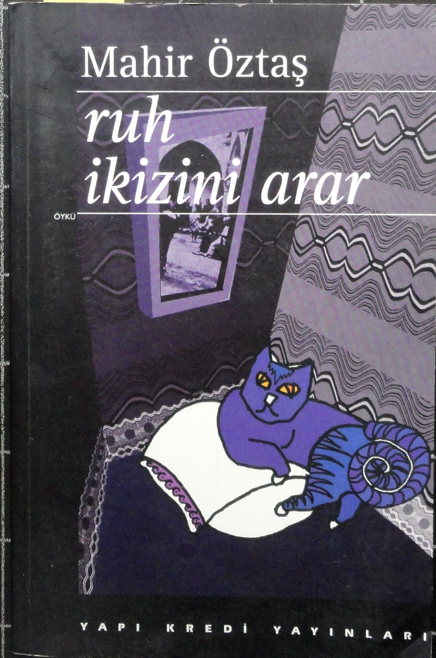 Ruh İkizini Arar