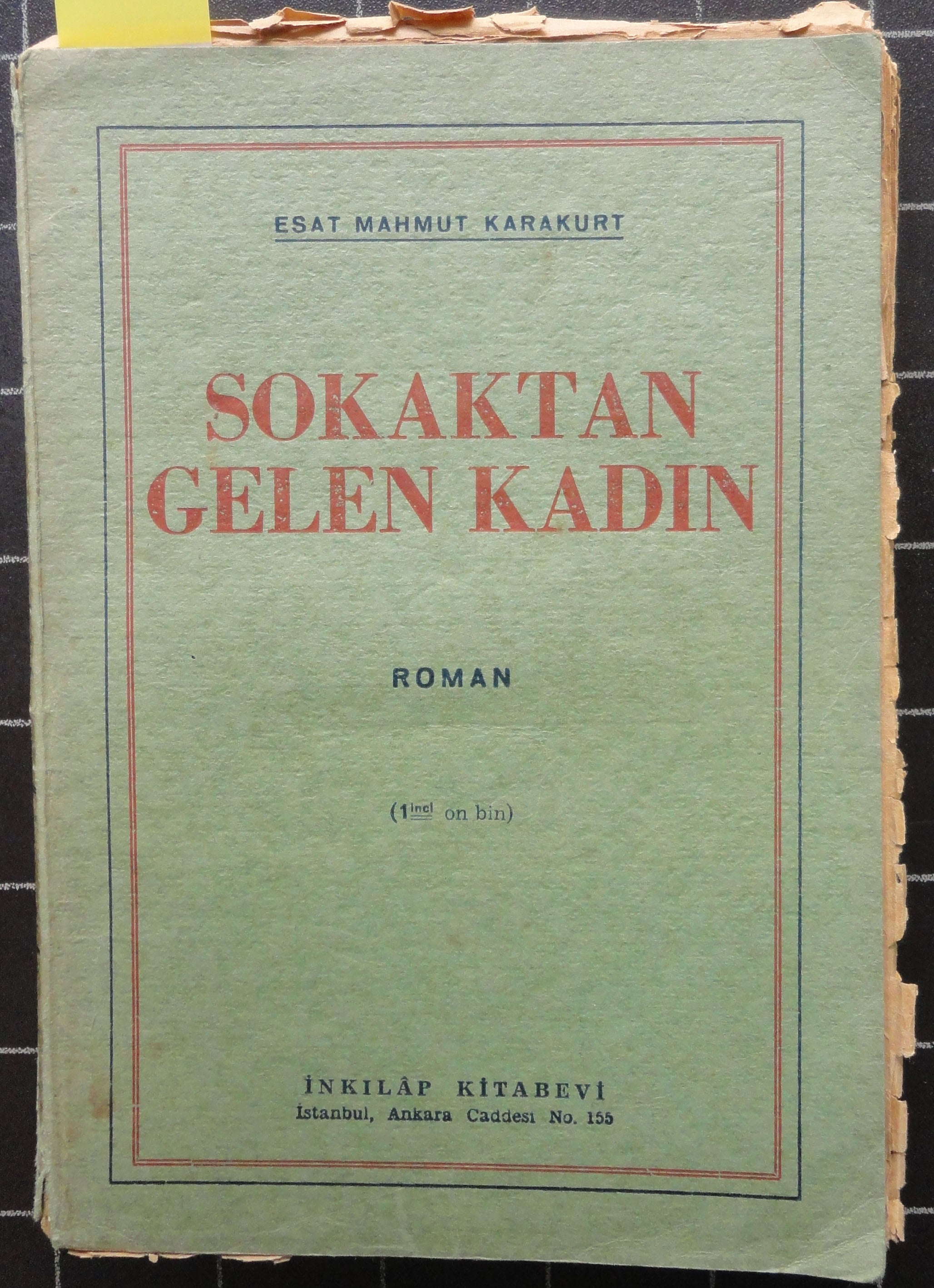 Sokaktan Gelen Kadın