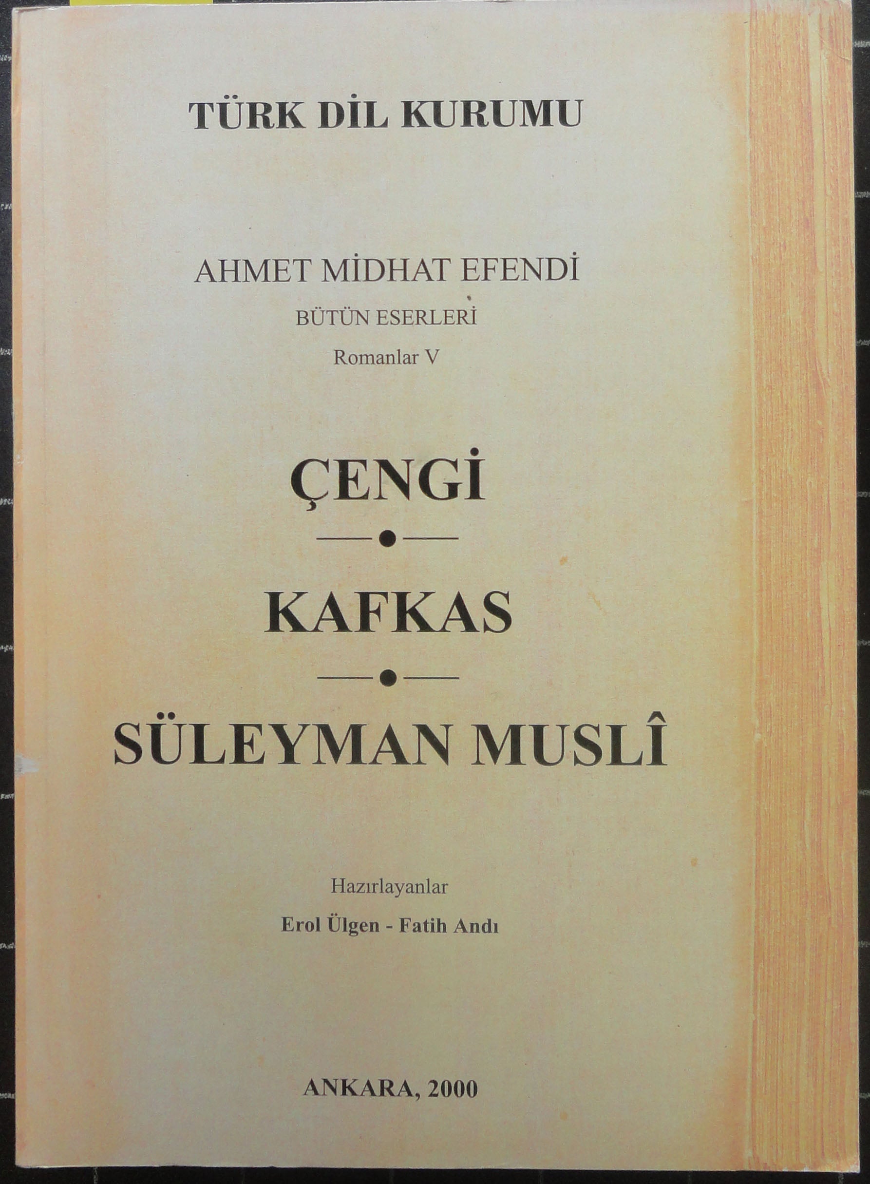 Çengi-Kafkas-Süleyman Musli<br>Bütün Eserleri Romanlar V