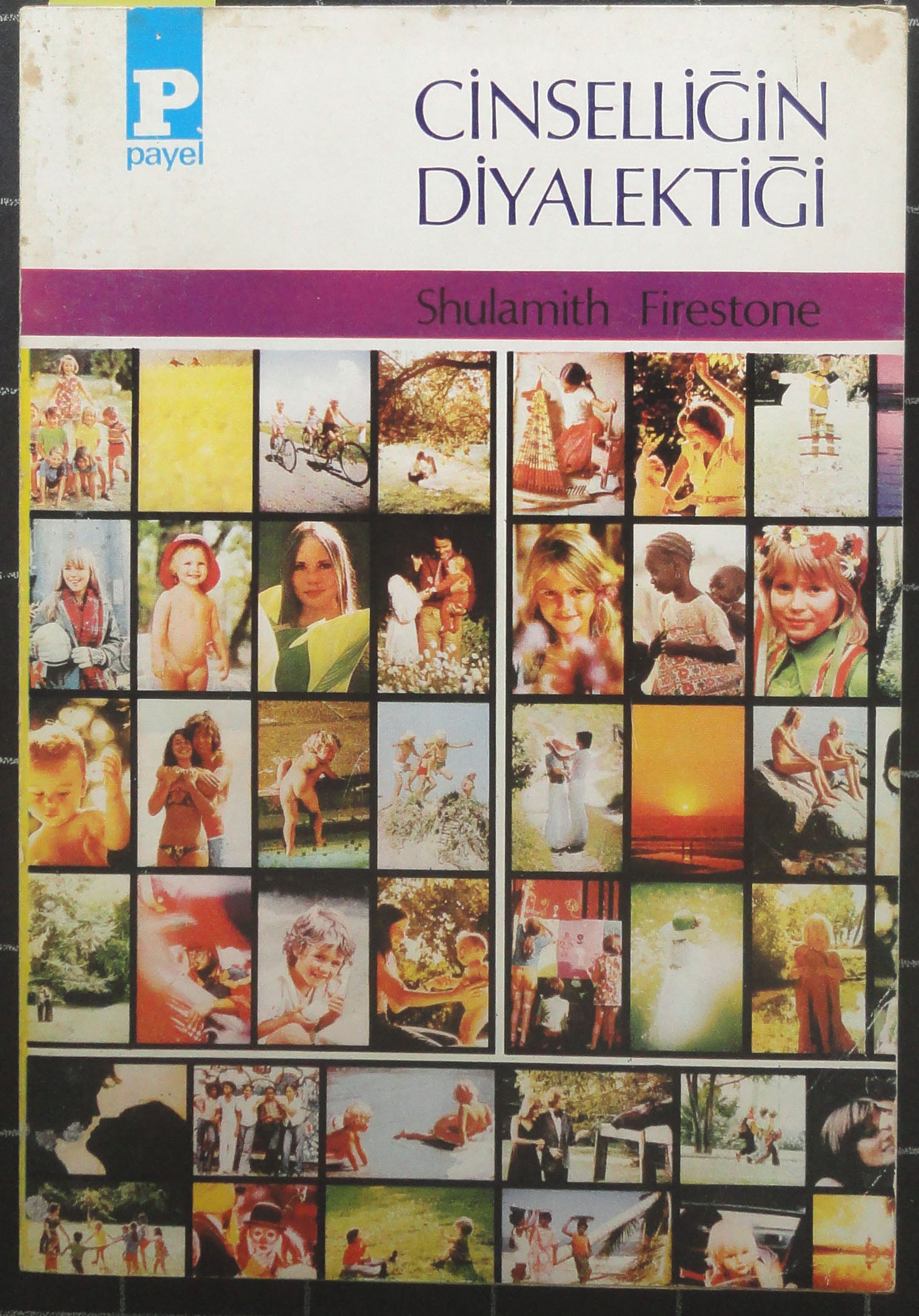 Cinselliğin Diyalektiği