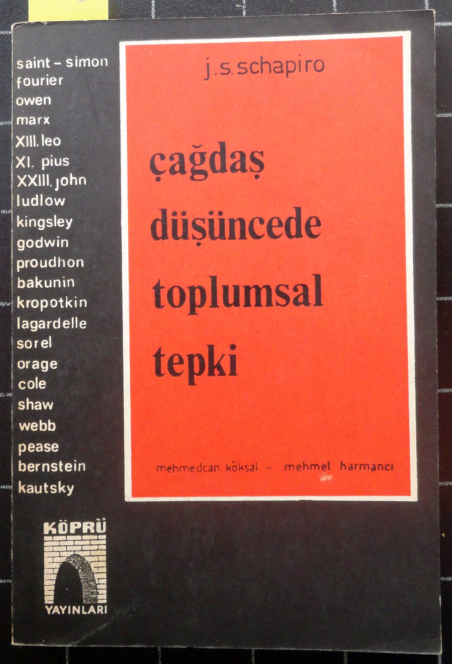Çağdaş Düşüncede Toplumsal Tepki