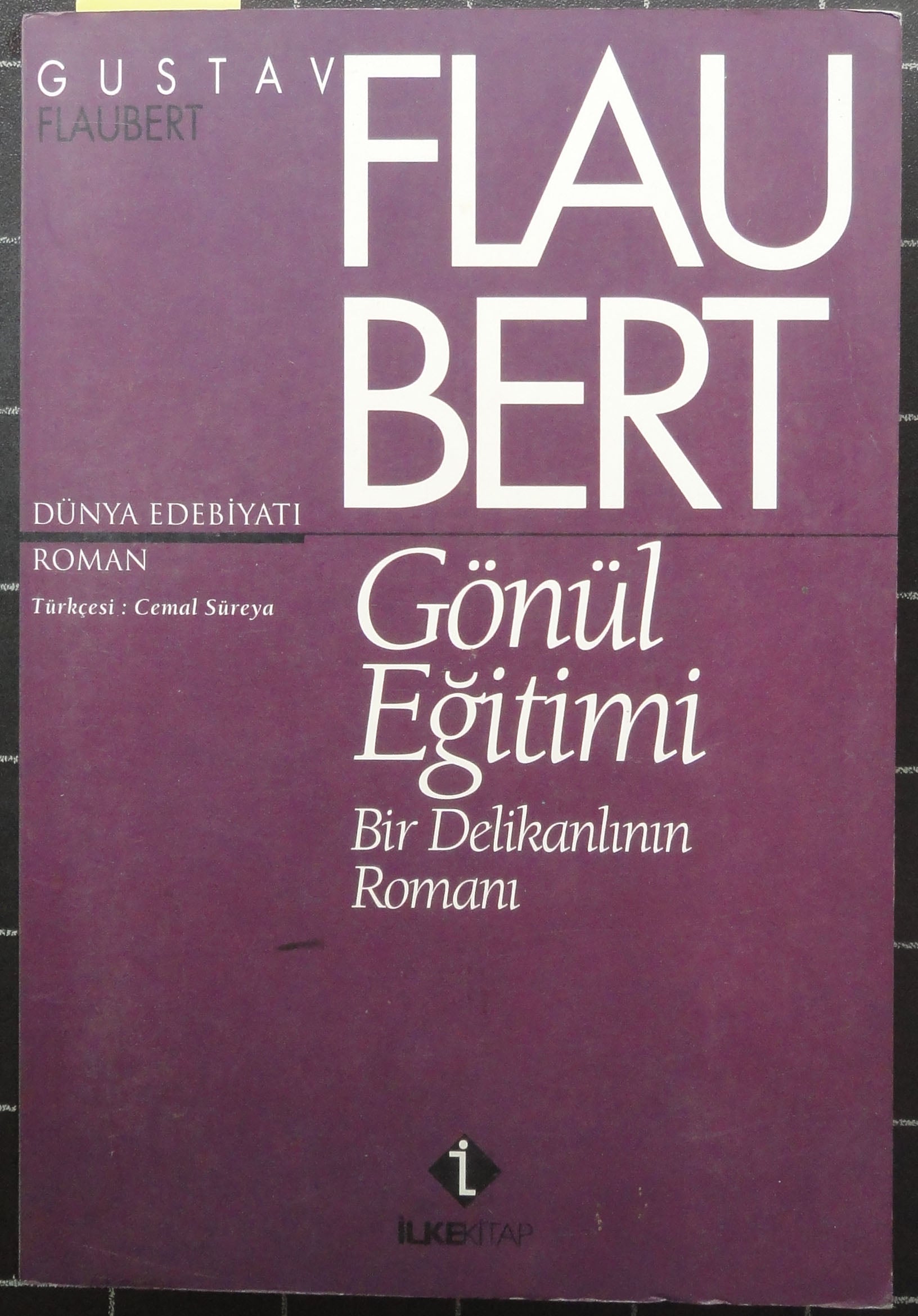 Bir Delikanlının Romanı Gönül Eğitimi