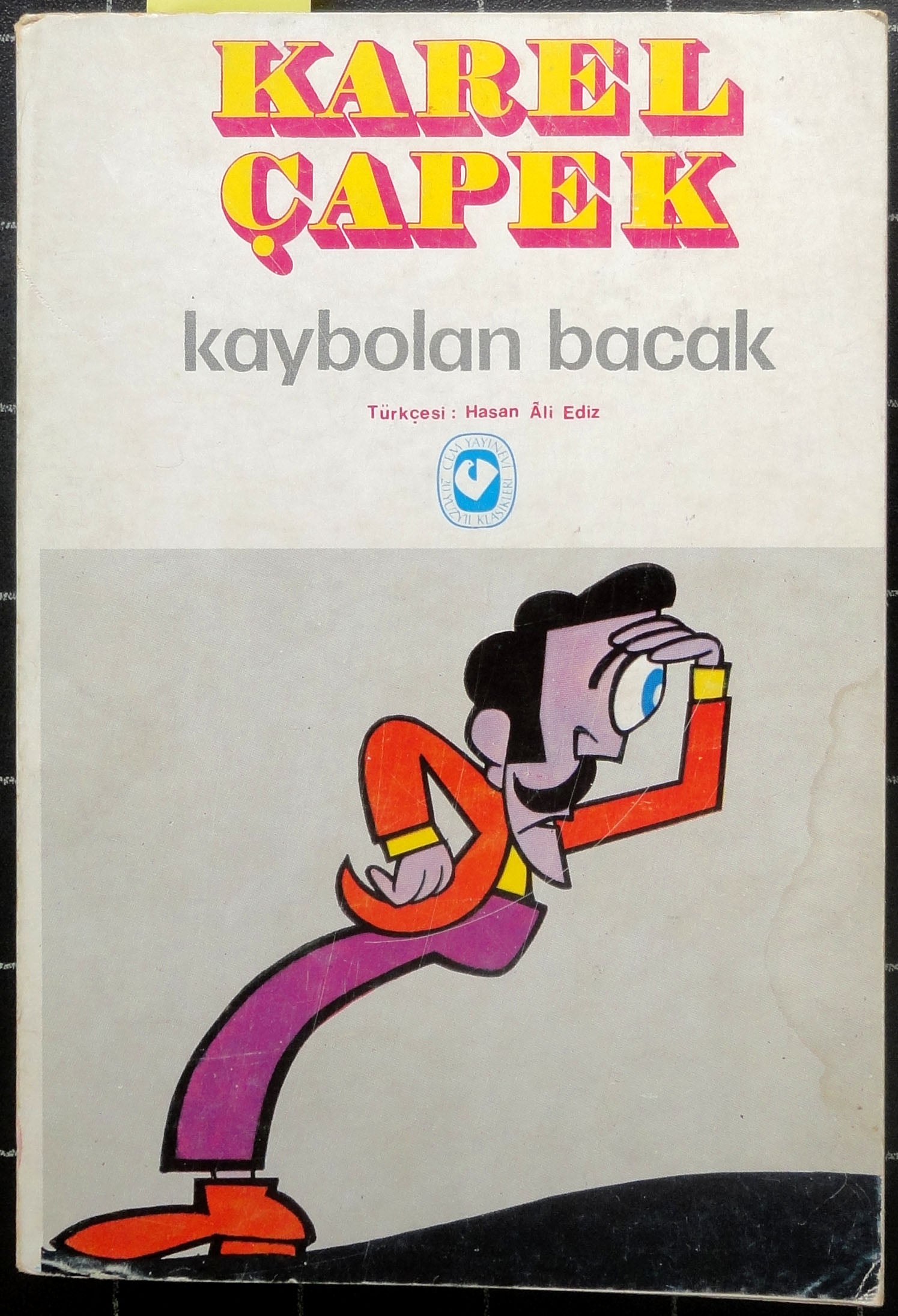 Kaybolan Bacak