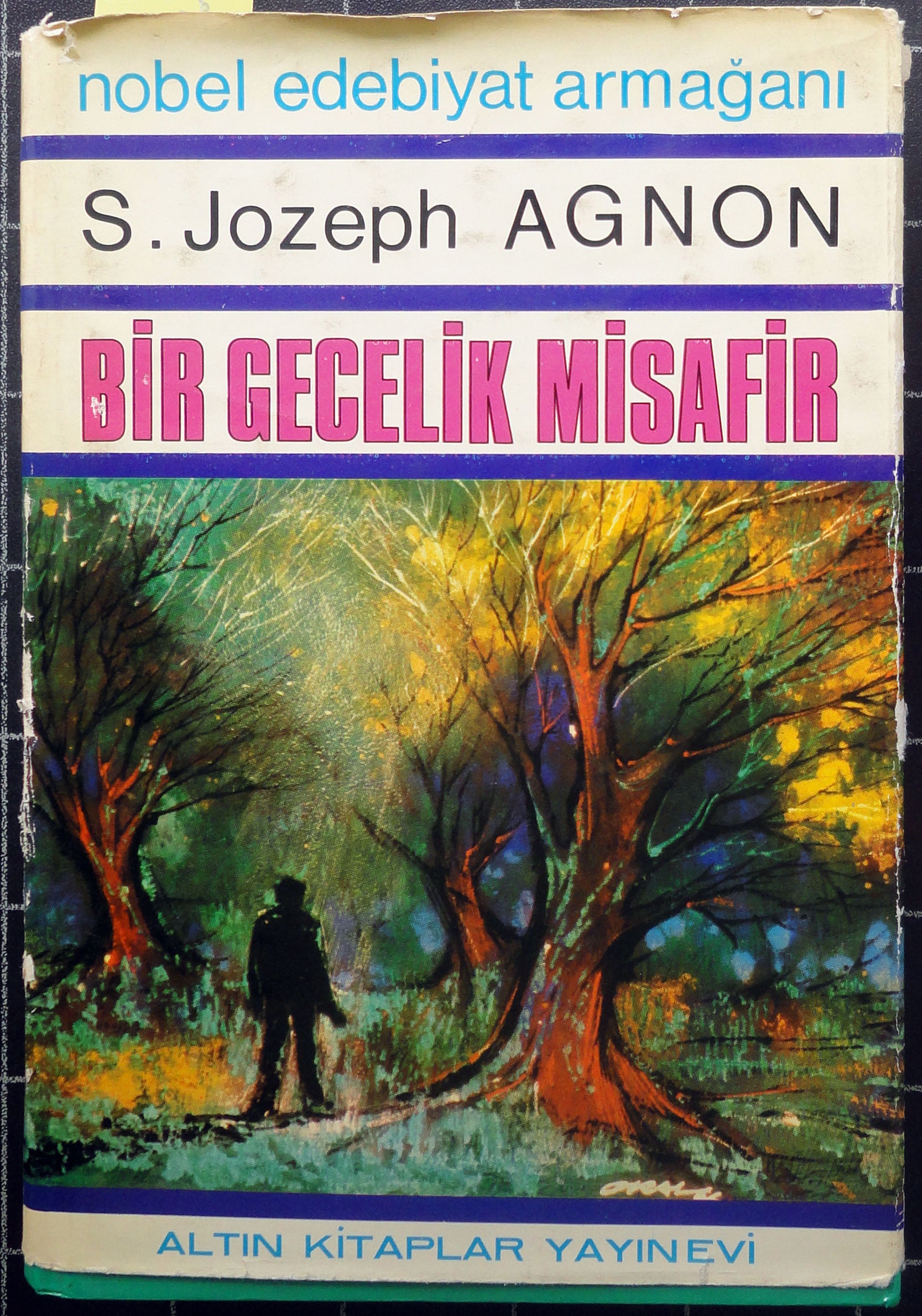 Bir Gecelik Misafir 1.Cilt