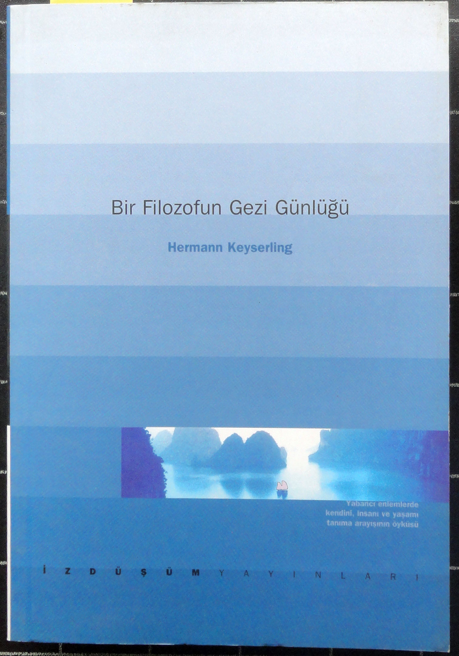 Bir Filozofun Gezi Günlüğü