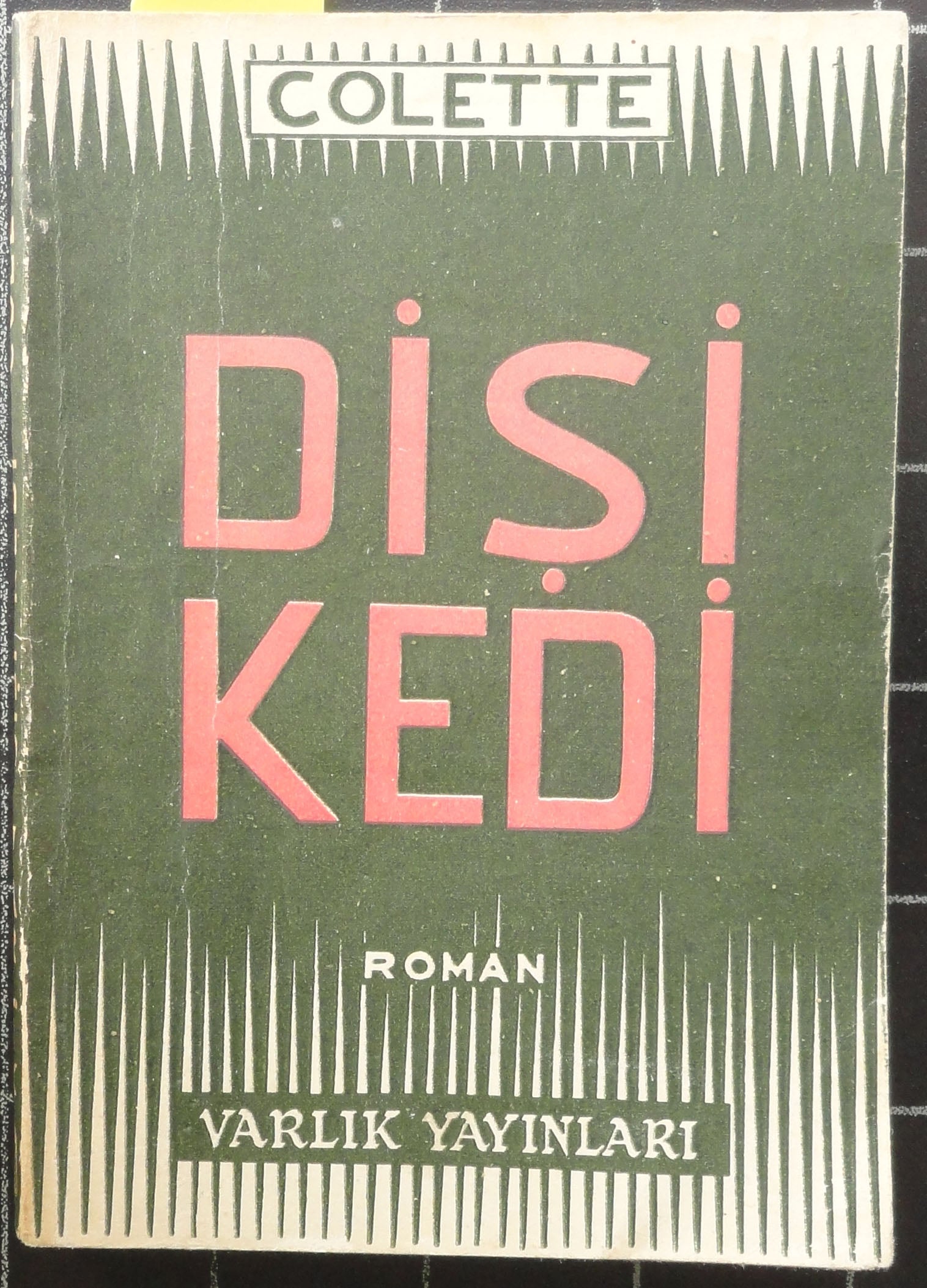 Dişi Kedi