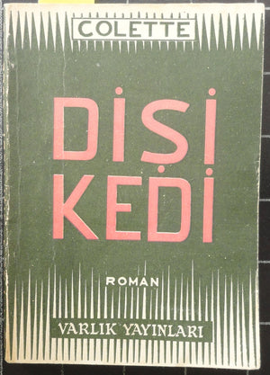 Dişi Kedi