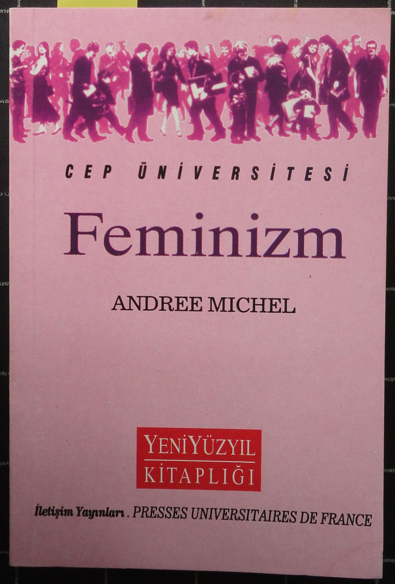Feminizm