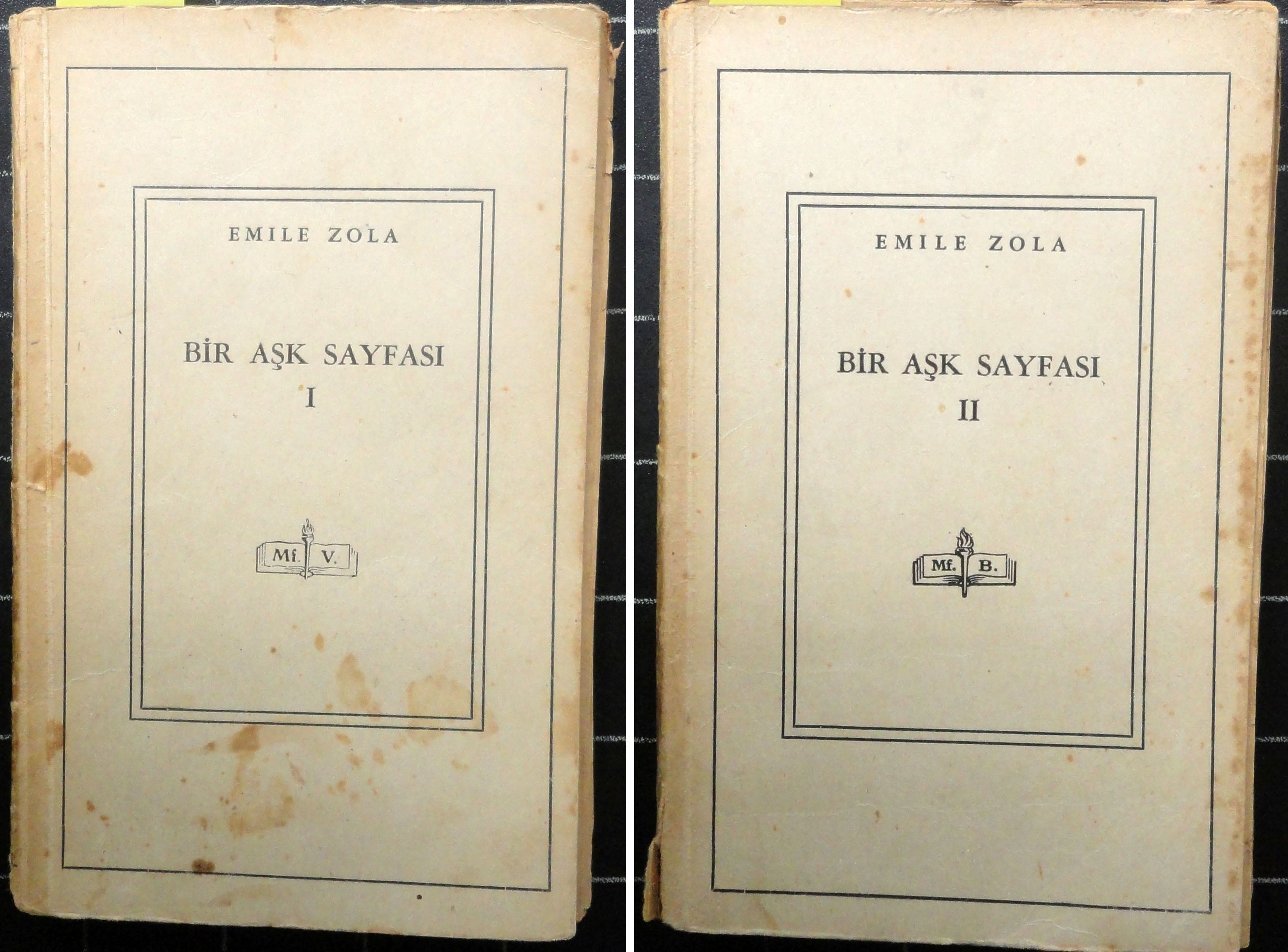 Bir Aşk Sayfası I-II (2 Cilt Takım)