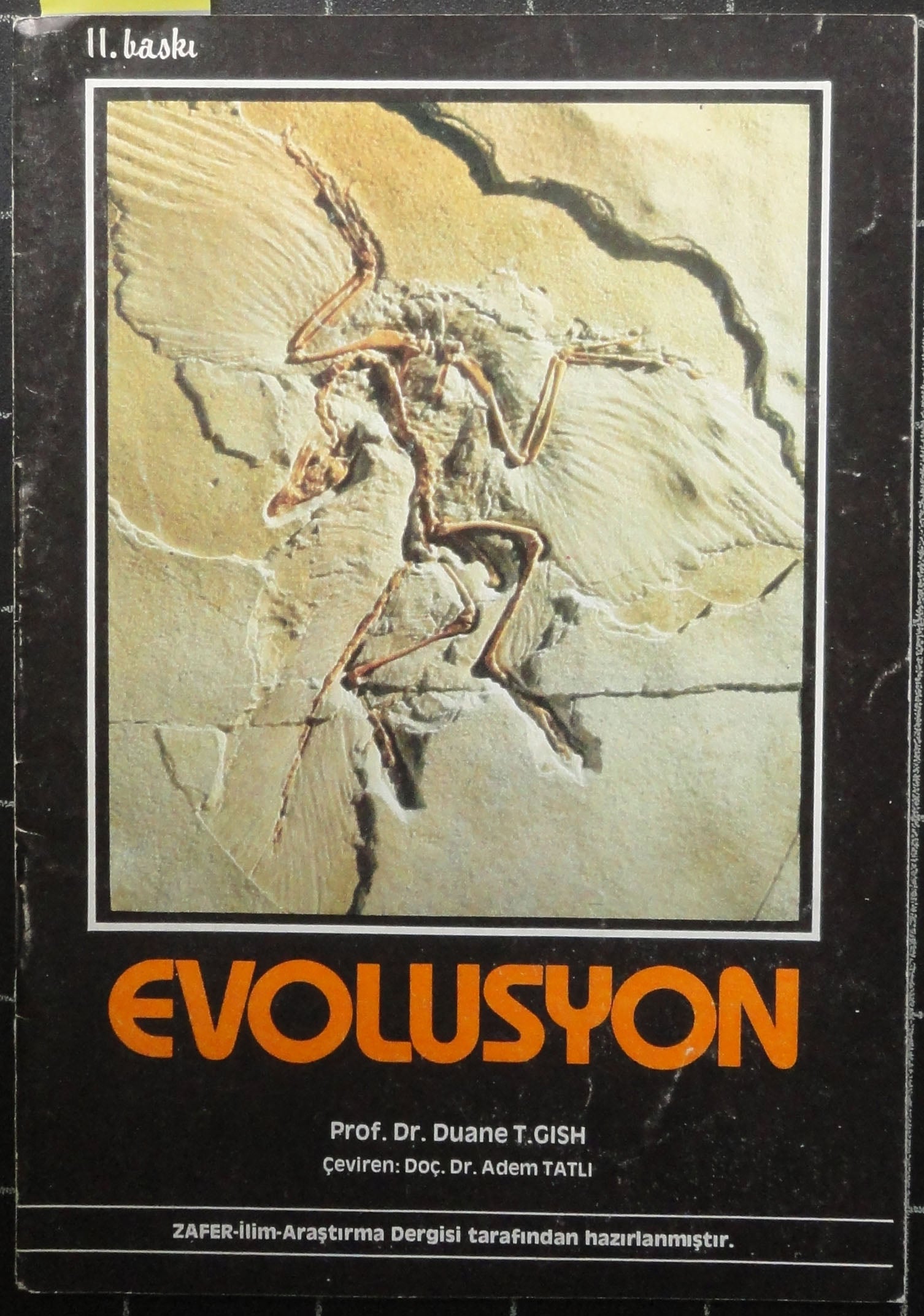 Evolusyon