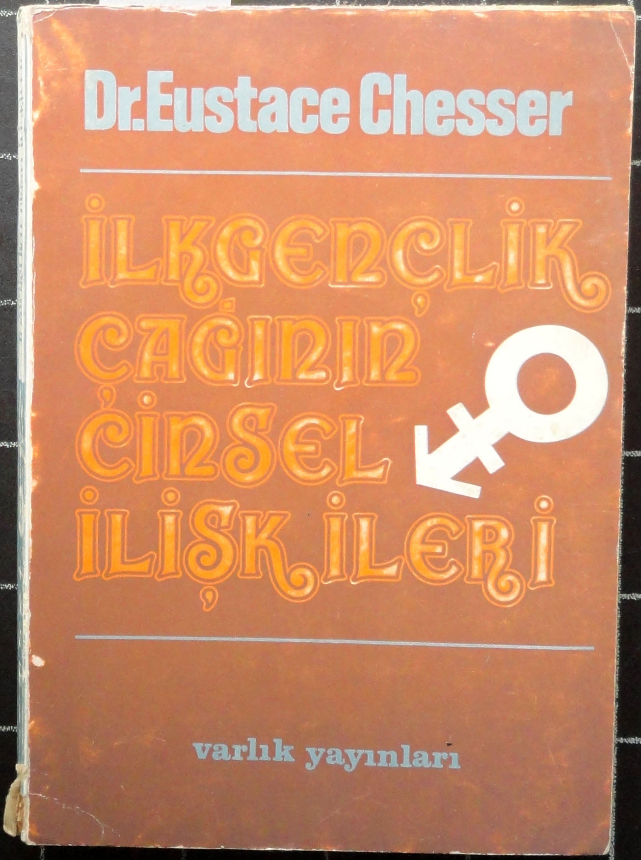 İlk Gençlik Çağının Cinsel İlişkileri