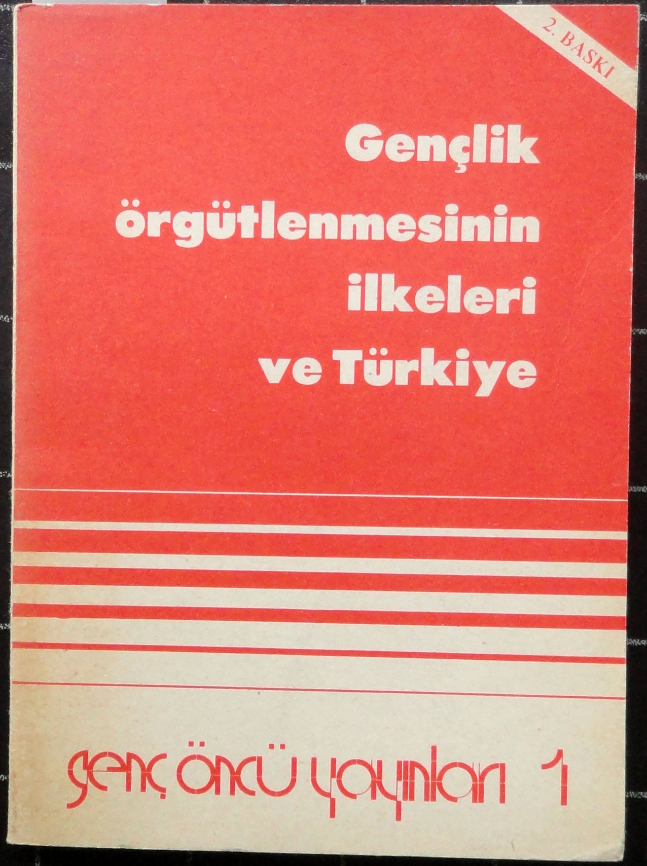 Gençlik Örgütlenmesinin İlkeleri ve Türkiye