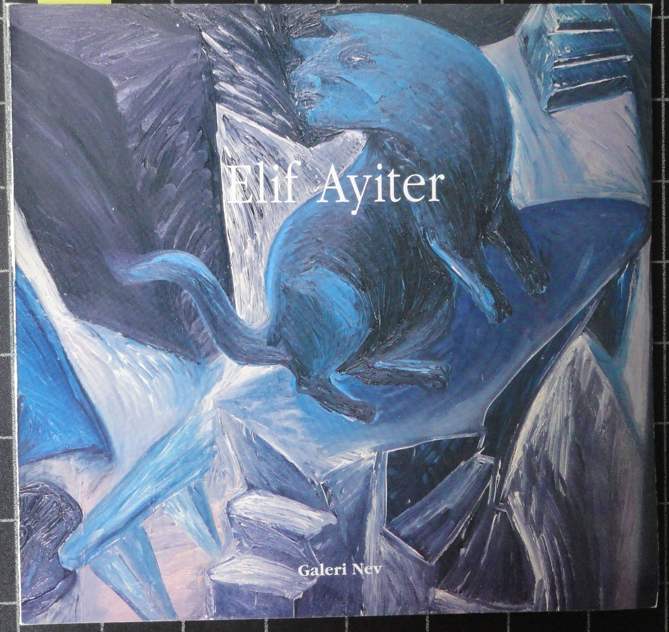 Elif Ayiter