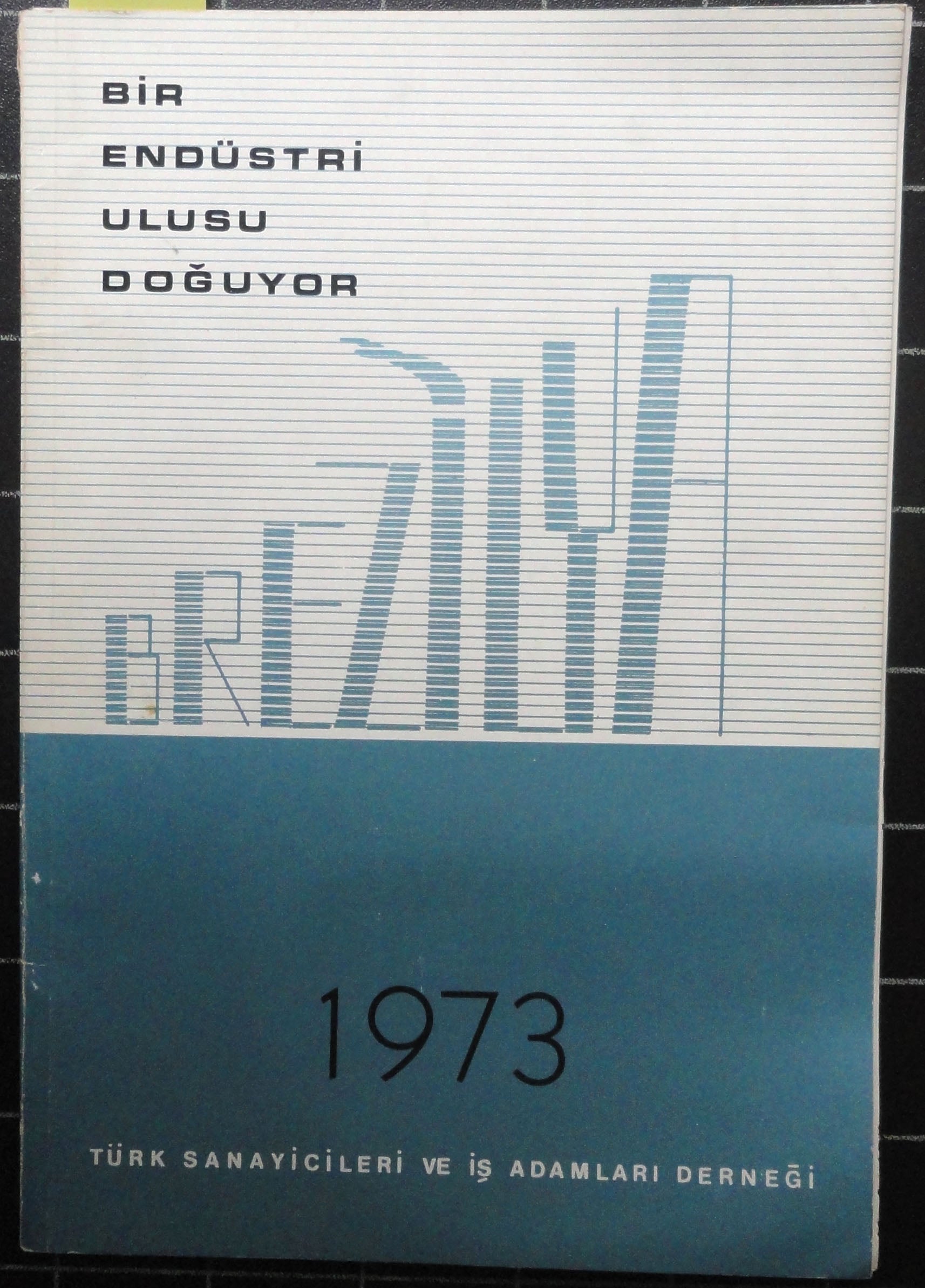 Bir Endüstri Ulusu Doğuyor Brezilya
